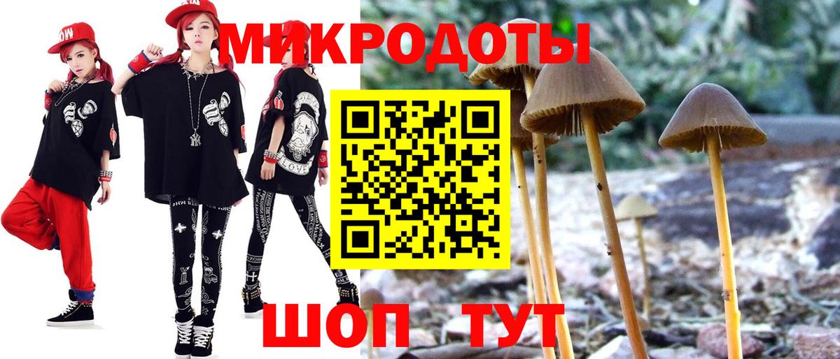 Галлюциногенные грибы GOLDEN TEACHER  Вход с VPN  Ноябрьск 